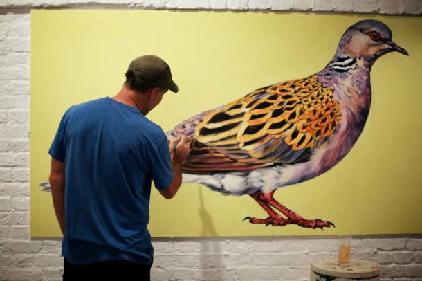 1658372_554123438023293_4763677905904929262_o